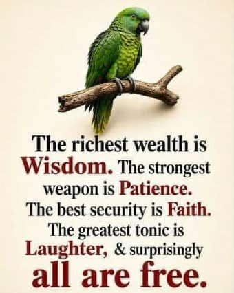 SDMancha's tweet photo. https://t.co/THRxk4NADd