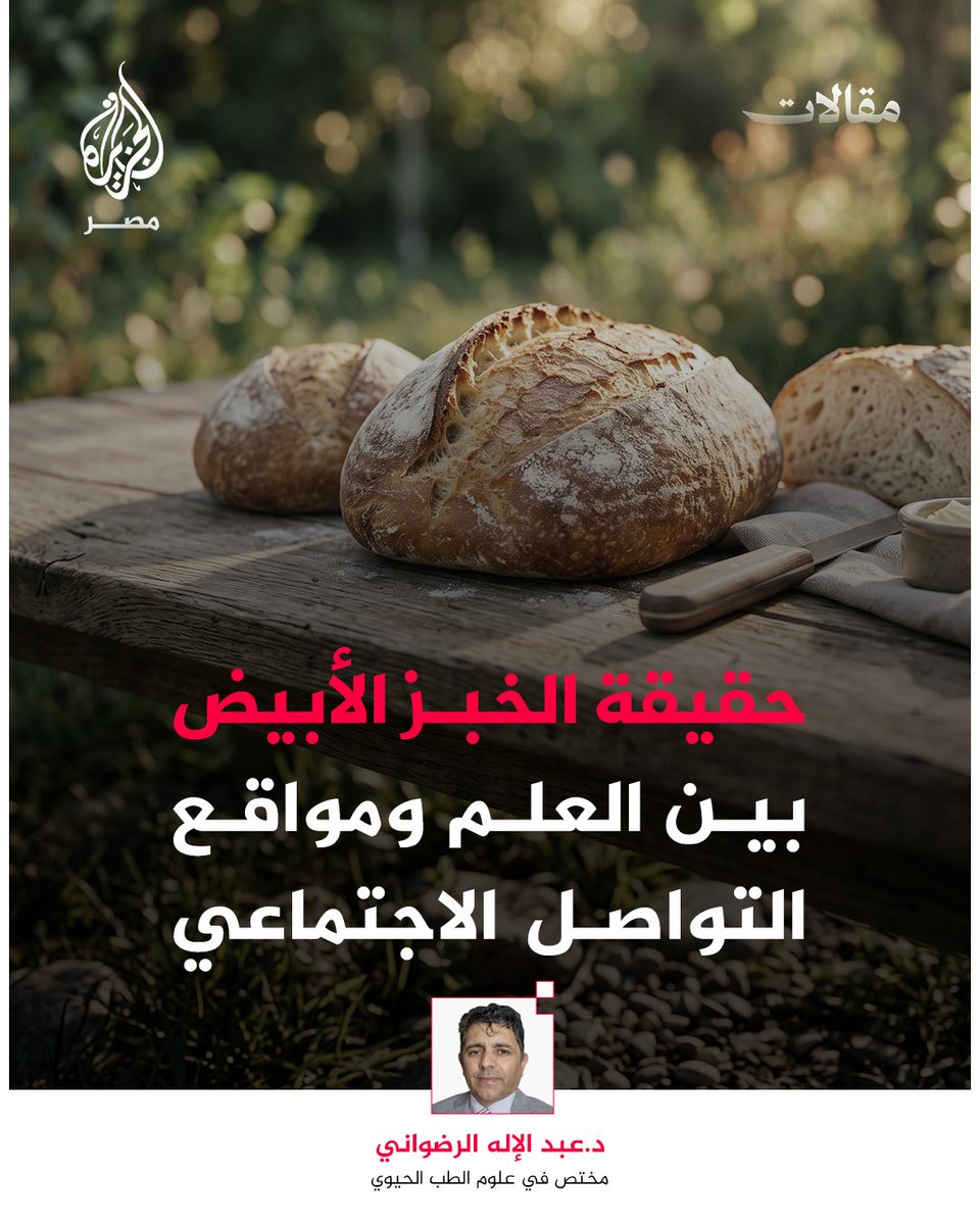 AJA_Egypt's tweet photo. 1️⃣ الخبز الأبيض يتصدر قائمة الاتهام على منصات التواصل.. فهل هو حقًا مضر؟ إليكم التفاصيل⏬ https://t.co/fbvhn465lw