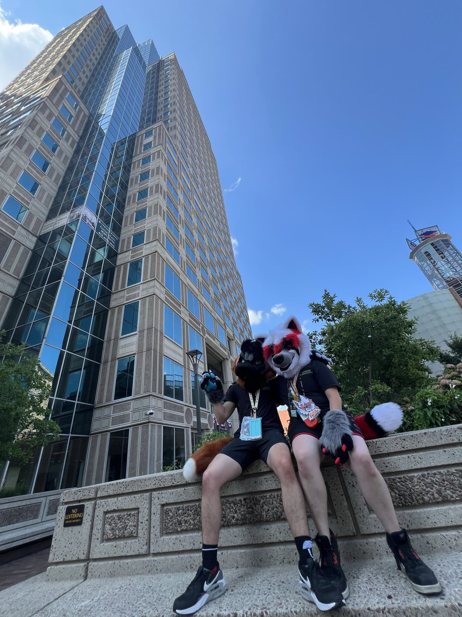 𝔇𝔢𝔭𝔞𝔠𝔥𝔢 🦊🐾 tweet media