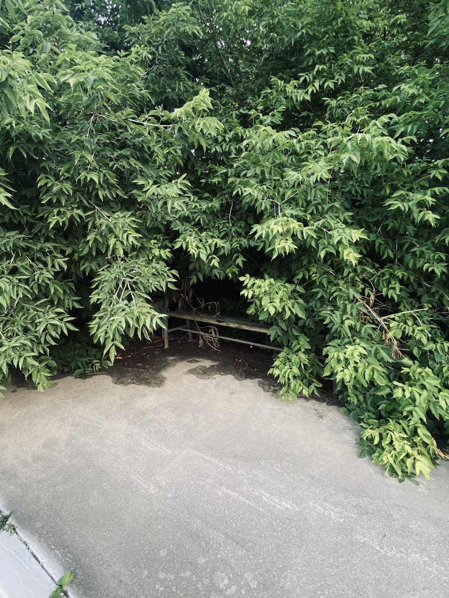 WYHTEIM's tweet photo. I go for a walk alone waiting for social anxiety to set in so that there are no people on my walk and it feels like an indie horror https://t.co/dYmumect97