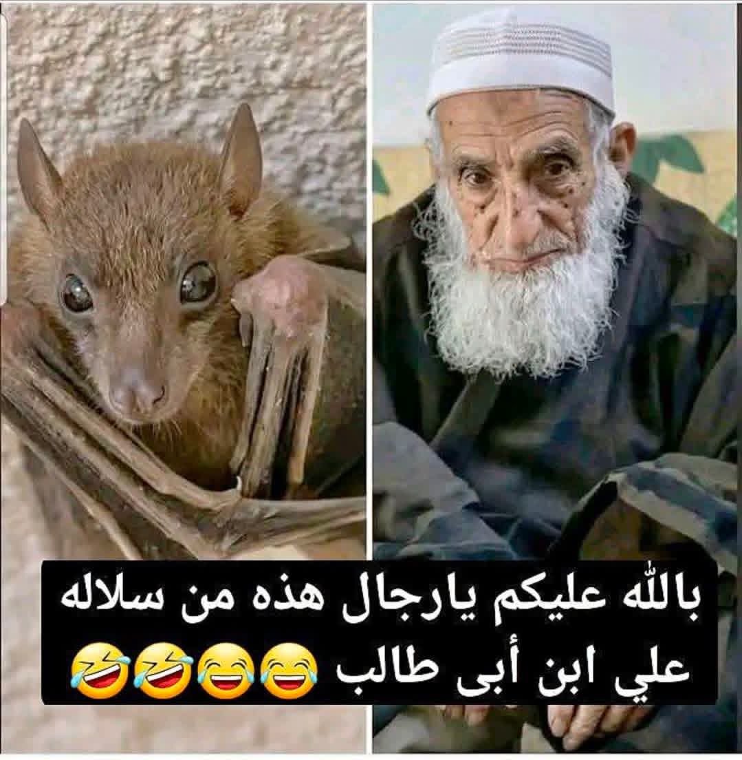 سعود خالد السعود 🇸🇦 tweet media