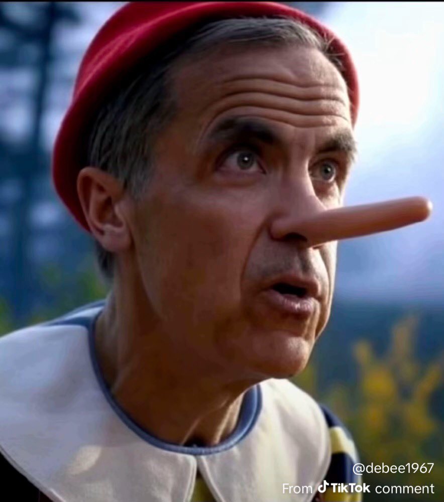 jmarkusdb's tweet photo. @Concern70732755 traitor @MarkJCarney https://t.co/hWODOm7kAH