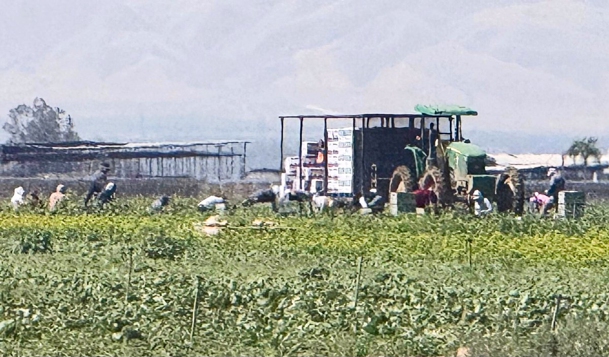 United Farm Workers tweet media