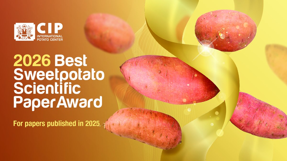 Cipotato's tweet photo. 📢 Calling all sweetpotato researchers!

Submit your 2025 publication for a chance to be recognized in the annual Sweetpotato 🍠 Science Paper Competition.

🏆 $500 award
📅 Deadline: Sept. 30

👉🏽 https://t.co/HdtvvYCtsf https://t.co/xcVYPo56A0