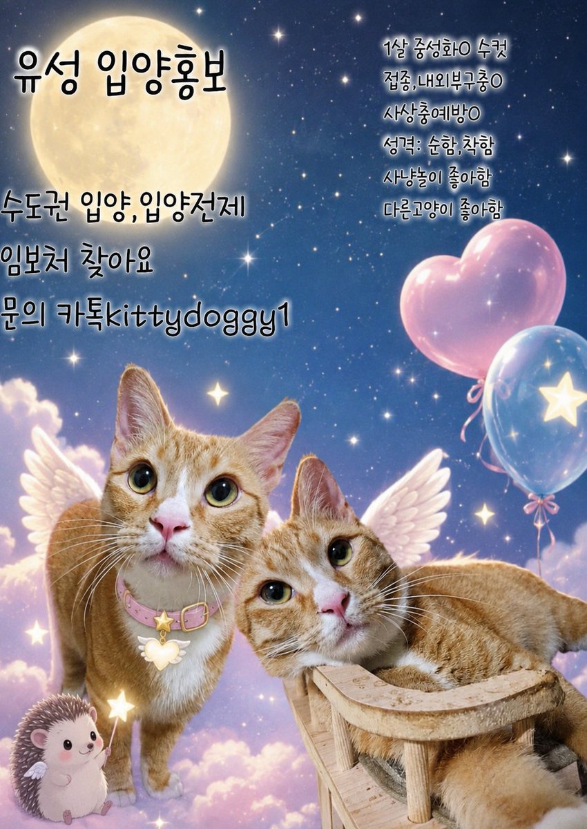 whowantsmycat's tweet photo. https://t.co/niFWXXUxRa