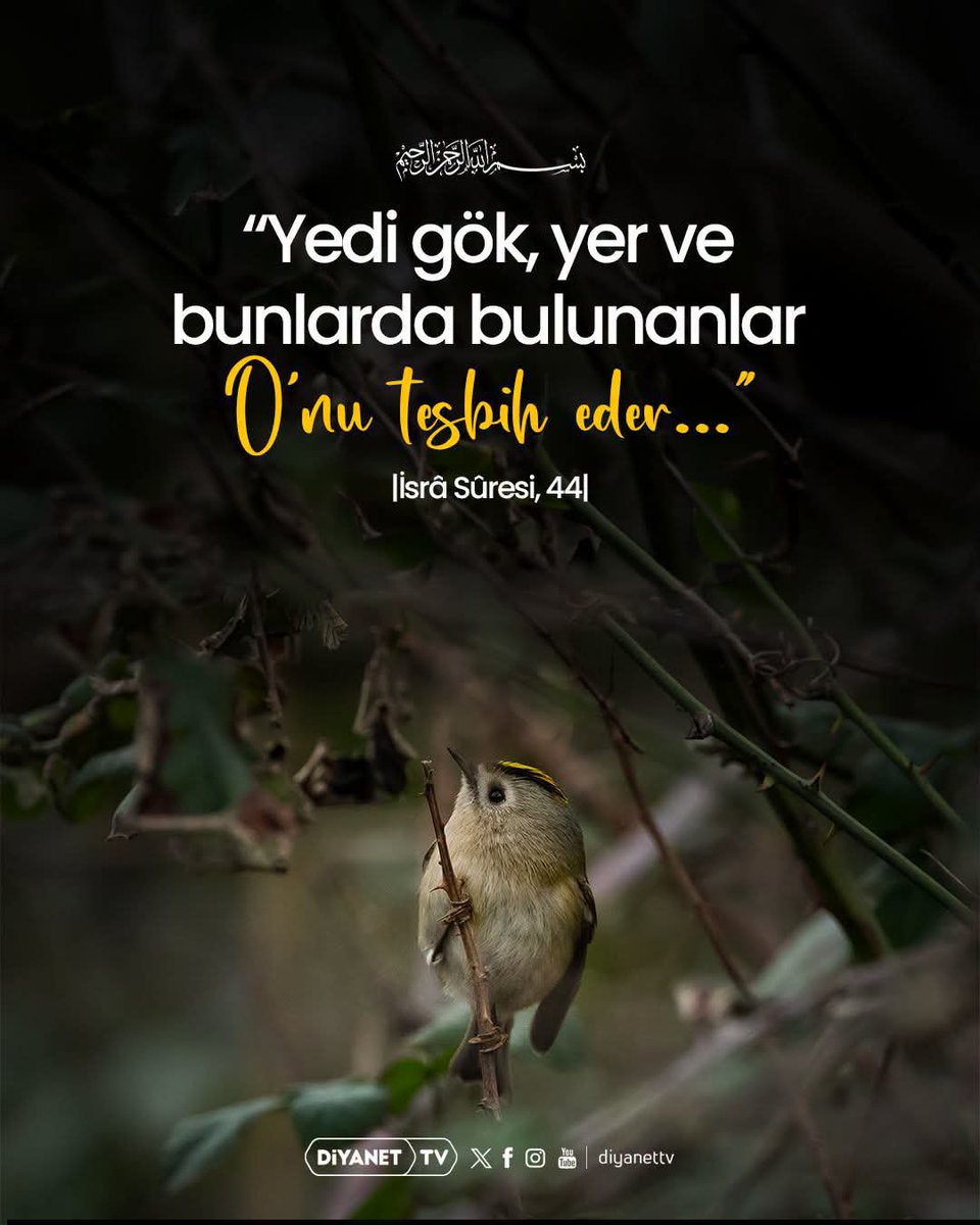 MMsoydogan's tweet photo. https://t.co/efRHzpamEf