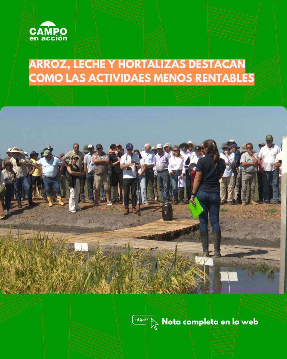 CampoenAccion's tweet photo. ℹ️Para la Confederación Intercooperativa Agropecuaria, las economías regionales más comprometidas en su rentabilidad son el arroz, la yerba, el vino y mosto, hortalizas y algodón, maní, leche y mandioca.
🔗 https://t.co/QgDYIXD4U6 https://t.co/69DxK8HNGW