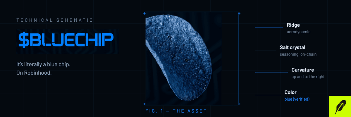 BluechiponHood's tweet photo. this will be our banner on dexscreener 

bluechip on robinhood

both retail and institutional investors will be able to buy this $bluechip https://t.co/gPRJHuczI4