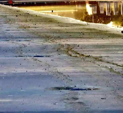 ChaosAgent_42's tweet photo. They just drained the swamp...I mean the pool.

Oh, look. Tire tracks. I wonder which terrorist left those.. https://t.co/wSIvUDk2O3