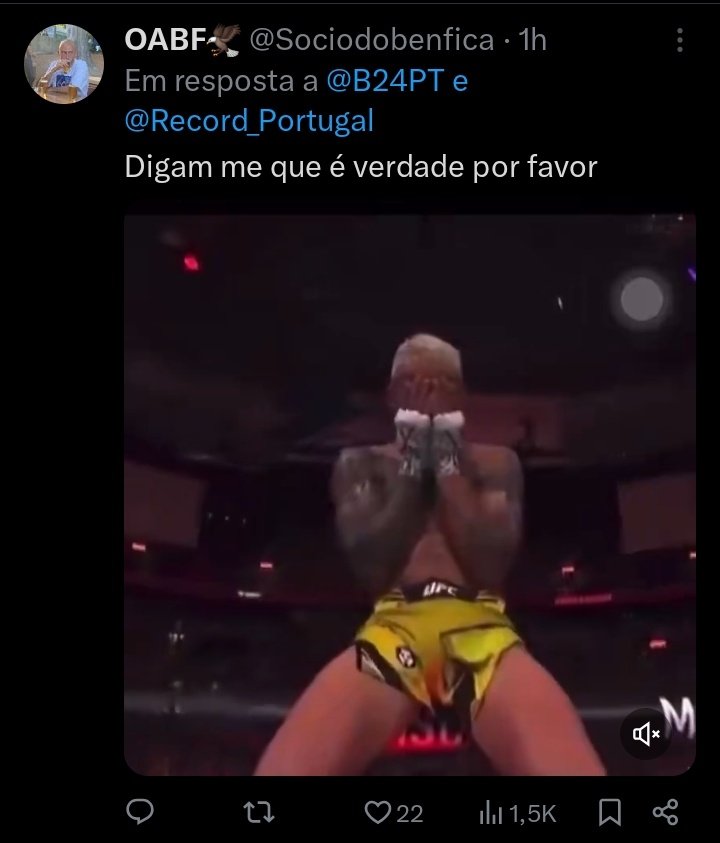 luis tweet media