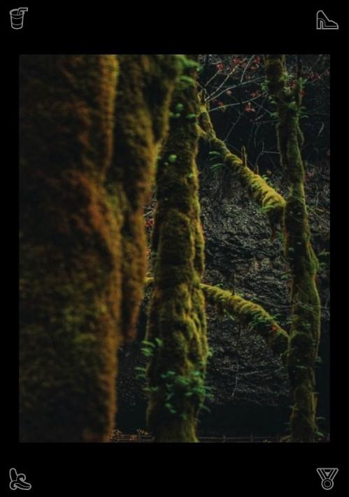 Sol7xcl's tweet photo. Traveling nurtures the capacity to find beauty in all places. Having traversed countless landscapes, one can discover delicate beauty even in the mundane aspects of daily life. Space exhibition featuring rockets. https://t.co/q3XulJkqU0