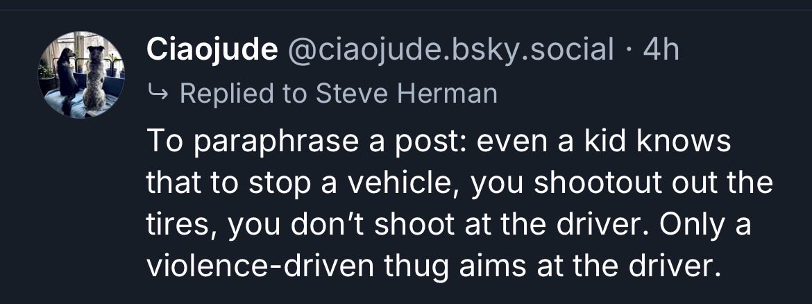 Bluesky Libs tweet media
