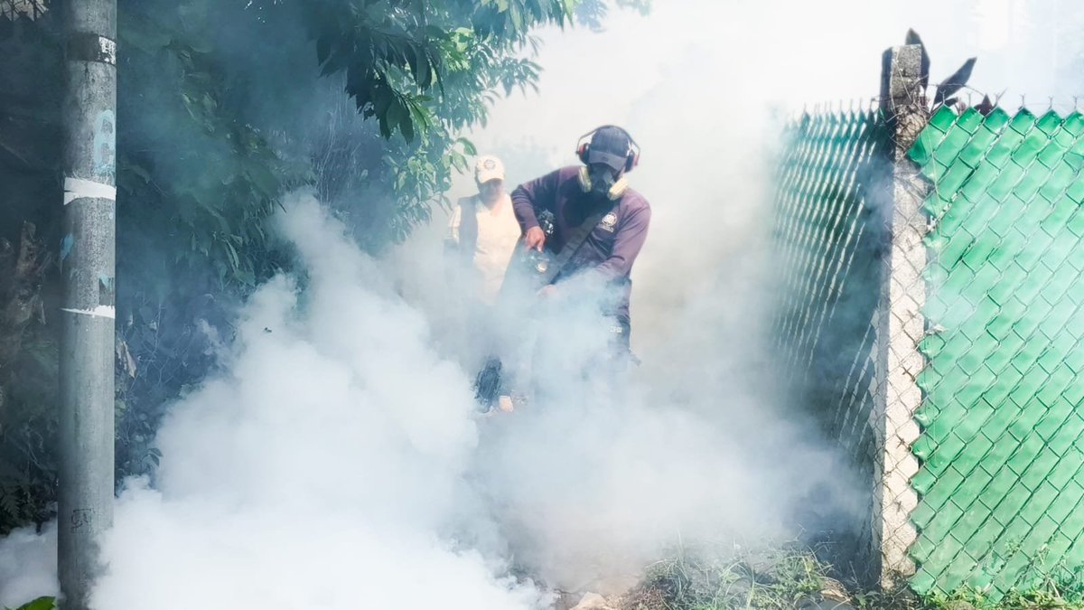 DistritoMuni's tweet photo. Más de 200 familias de las comunidades La Unión y Cristo Paz,  Distrito Capital, fueron beneficiadas con jornada de fumigación a cargo del personal de Promoción de Salud con referentes de Acción Social de la zona 3 para erradicar vectores transmisores de enfermedades. https://t.co/UWJHxe4ksL