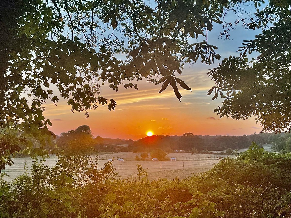 skylark22BHC1's tweet photo. Lovely and cool for the first time in ages in the 45 minutes leading up to tonight’s sunset in Keston.  #keston #minday #loveukweather @bbcweather @metoffice @SallyWeather @itvweather https://t.co/2pKJLY0nAP