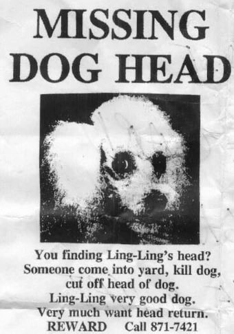 BungieLeaks (Archive) tweet media
