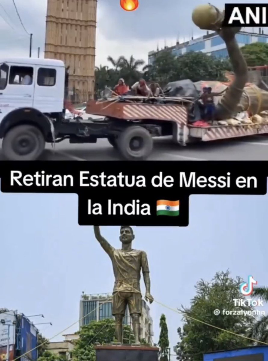Infiltrado Blanco tweet media