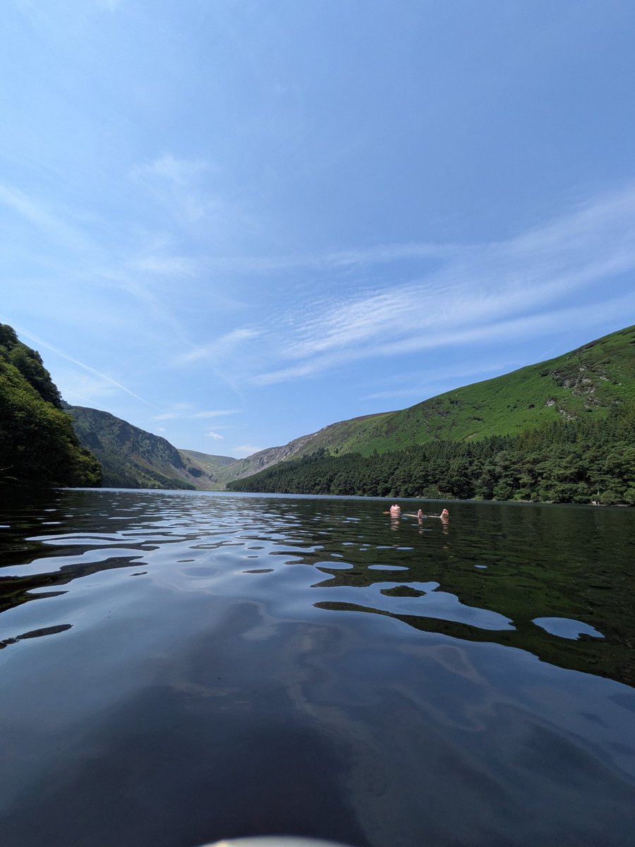 BashDiggity's tweet photo. Strolled through treetops. Went for a life changing swim. Long walk on a beach. Breathtaking botanical garden. Wicklow is unreal. The garden of Ireland indeed https://t.co/Ib78nfMpRB