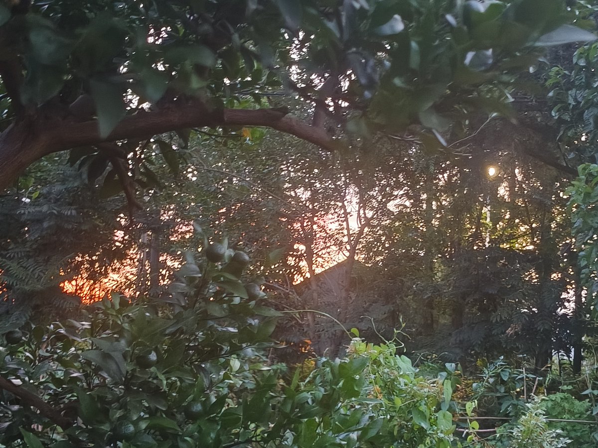 drapan's tweet photo. Lost in the warm, fuzzy guitar riffs tonight—this track feels like a lazy sunset walk with headphones on, perfect for turning a regular Tuesday into something lovely https://t.co/XbuiP9YQpj