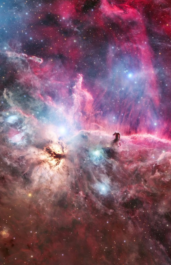 konstructivizm's tweet photo. The Horsehead Nebula! ✨

It is part of the Orion Cloud—a vast stellar nursery of gas and dust spanning hundreds of light-years.

The reddish glow comes from plasma—ionized hydrogen—while the dark "head" itself is a concentration of cosmic dust https://t.co/a1SLwiI2vk