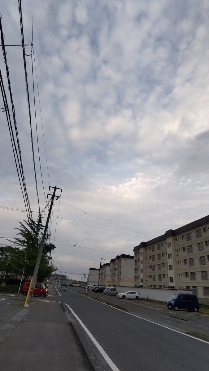 awashimas's tweet photo. おはようございます。昨日は雨が上がったものの曇りの一日でした。今日はどんな一日になるかな？ https://t.co/1TCc5fsvS7