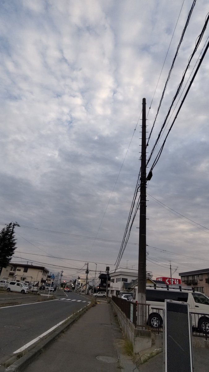 awashimas's tweet photo. おはようございます。昨日は雨が上がったものの曇りの一日でした。今日はどんな一日になるかな？ https://t.co/1TCc5fsvS7