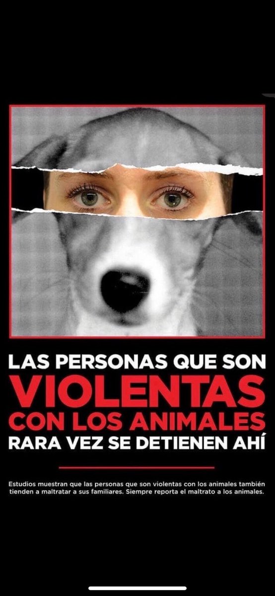 Merle Uribe Oficial tweet media