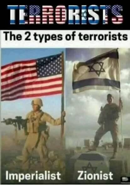 8fvoi's tweet photo. @AmericanMongrel @mhdksafa https://t.co/MNMwA4dSo1