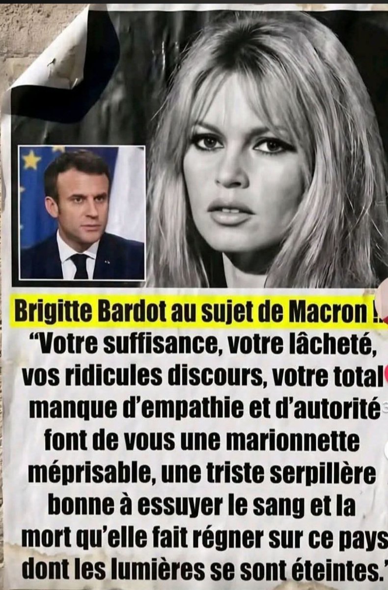 ClovisLuteceFR's tweet photo. +++ Brigitte Bardot avait raison !
Et ses propos envers  @EmmanuelMacron 🤡 sont toujours valables !

#MontjoieSaintDenis
#ÀBasLaMacronie https://t.co/wymlxS85LM