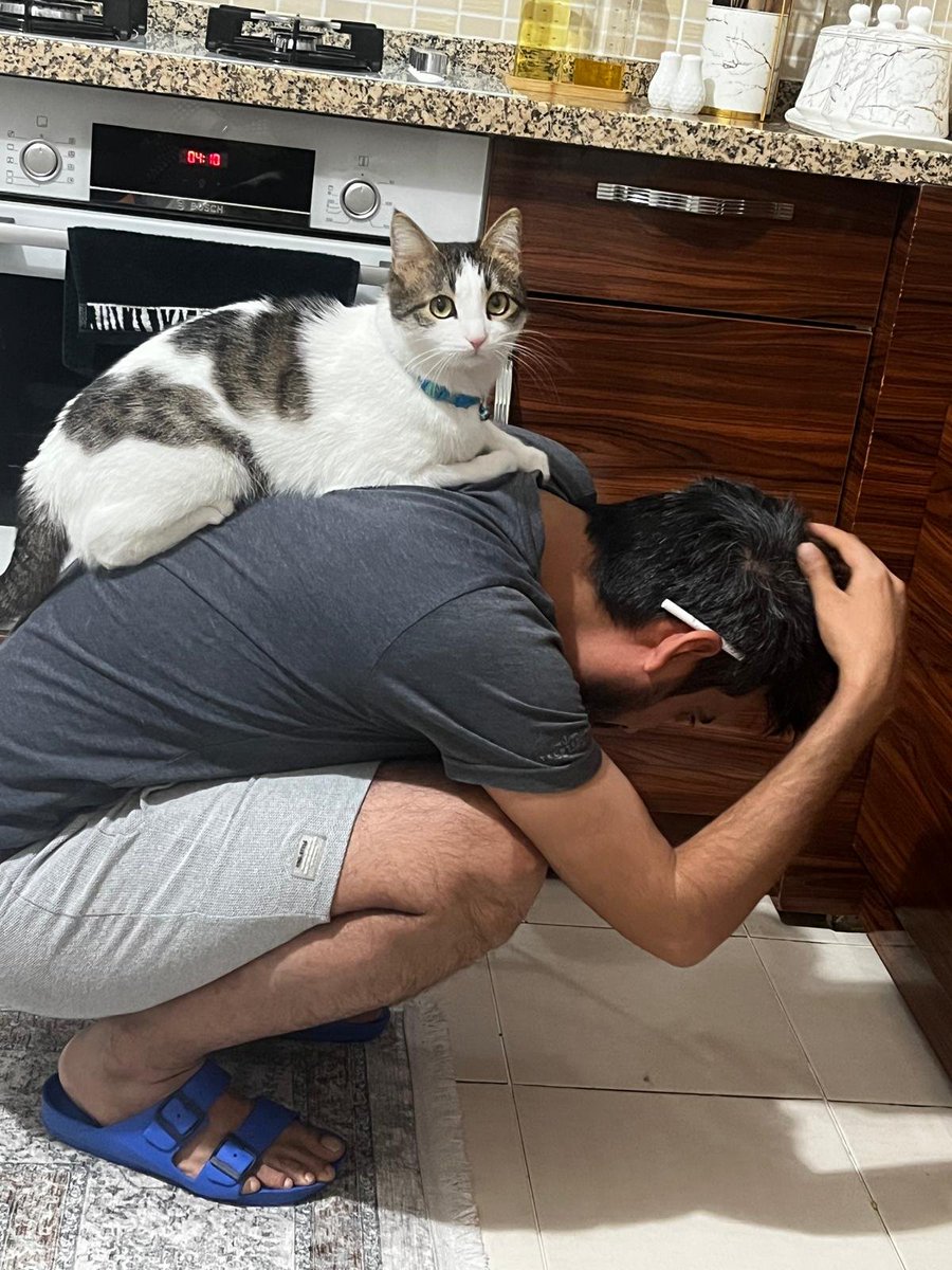 OsmanCastillo88's tweet photo. Bu akşam 7 yıldır bizimle olan kedim kayboldu. Aradım aradım bulamadım. Her gördüğüme sordum yok. İnşallah iyisindir güzel kedim Venüs 😥 üzdün https://t.co/6chZApO2sx