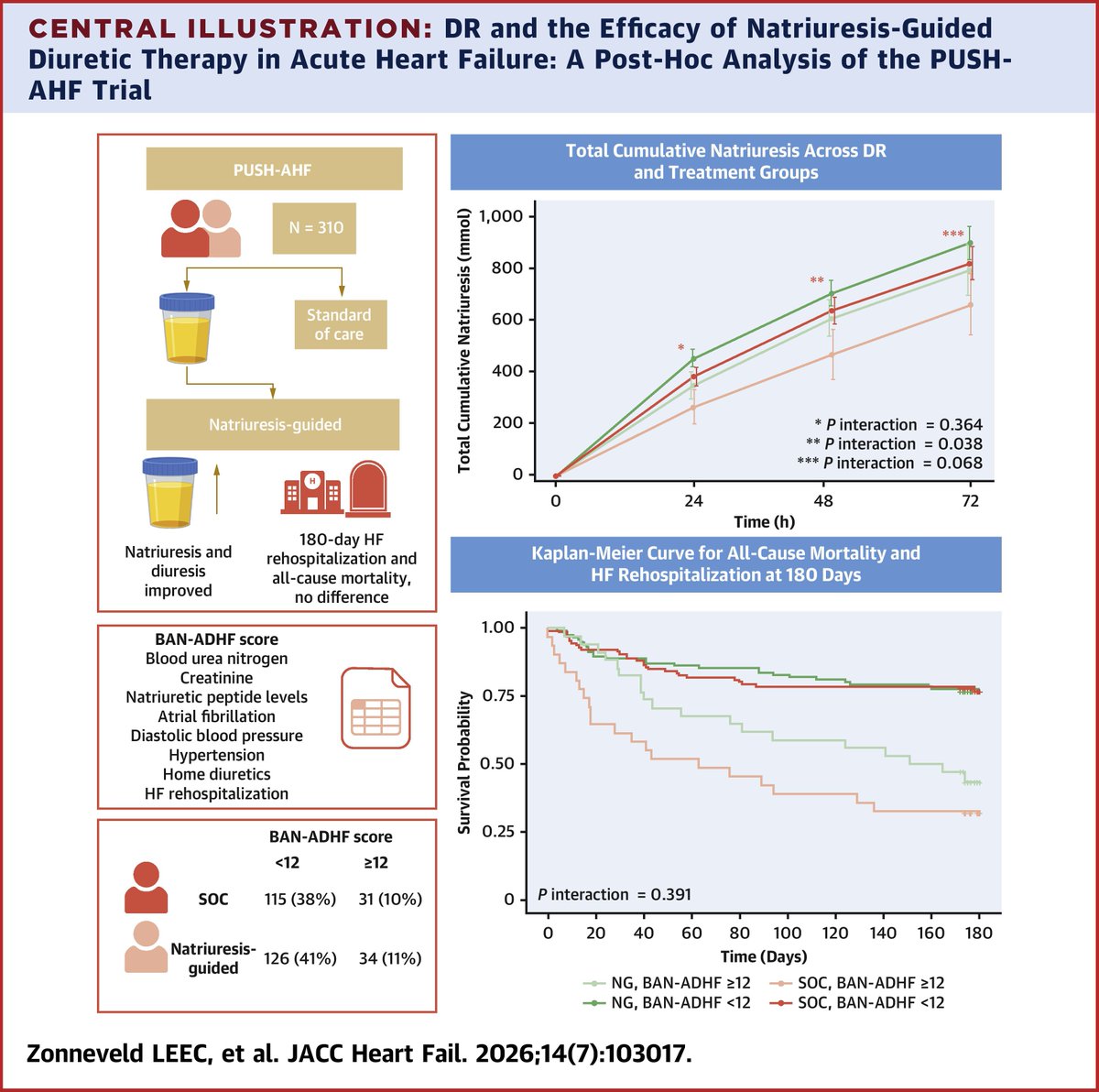 JACCJournals's tweet photo. High BAN-ADHF scores identified patients with impaired natriuresis and worse outcomes. Natriuresis-guided therapy improved 24-hour natriuresis, especially in those at highest diuretic resistance risk. https://t.co/SX4L5T2980 #JACCHF #HeartFailure https://t.co/PnJHjDL3Ii