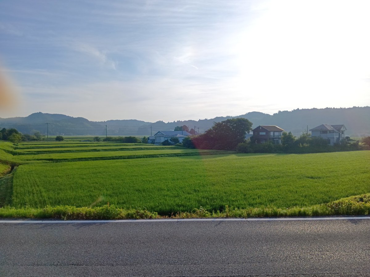 kagami_masami's tweet photo. おはようございます☀️
今日も朝から大多喜は青空と太陽がまぶしい一日になりそうです。
私は、この美しい田園風景に魅せられて大多喜町へ移住しました。
この豊かな自然と暮らしを未来へつないでいけるよう、今日も地域のために歩んでまいります😊🌾
#大多喜町 #朝の風景 #地域の魅力 https://t.co/ljezUIYIMK