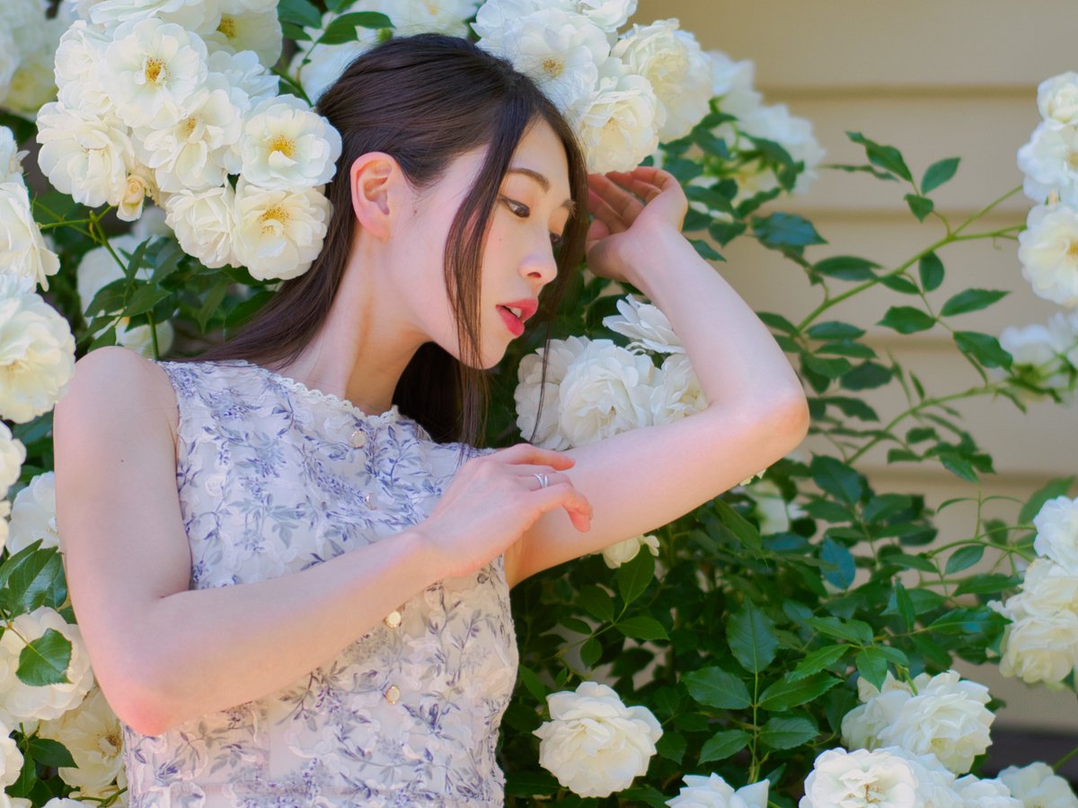おかちゃん📷【秘密の写真展XIV（8月）出展準備中！】 (@S10Okazaki