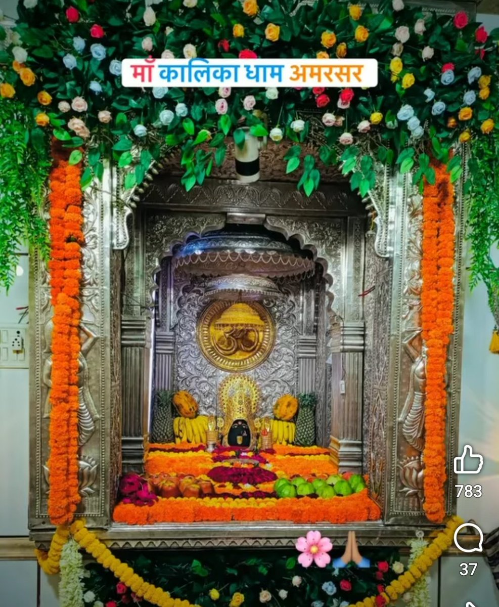 vinodmittal9's tweet photo. अमरसर धाम में विराजमान कालिका माता की जय https://t.co/loclIaZXwn