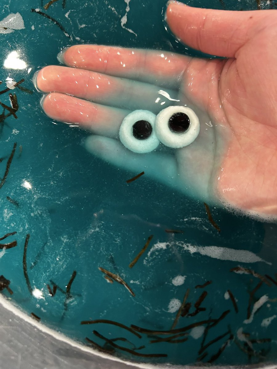 enchanted_bath's tweet photo. https://t.co/5XgOZtCru7
