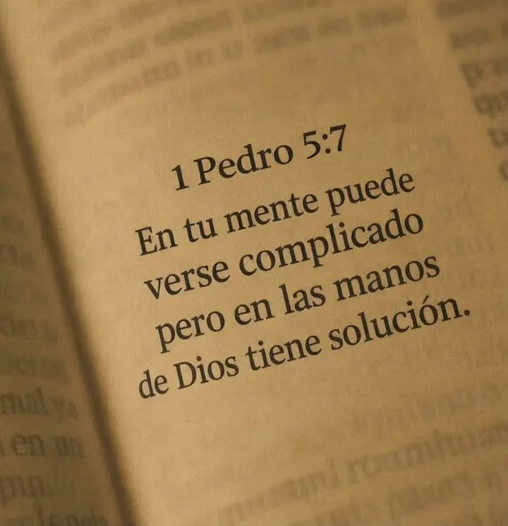 Nefisito's tweet photo. https://t.co/P87GiMQ1hz