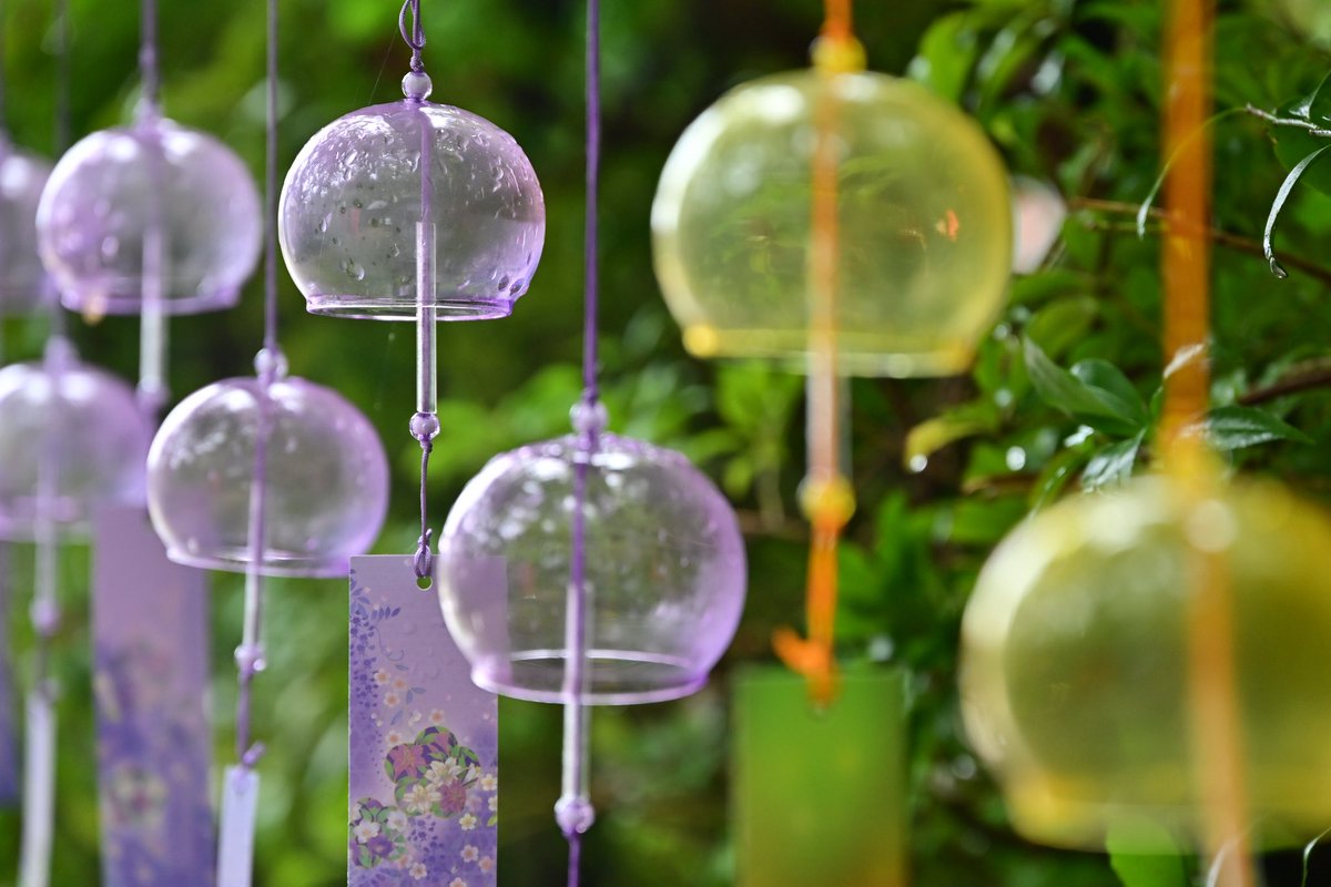 photo_walker's tweet photo. 大和郡山市の松尾寺のカサブランカを見に行った時に風鈴が飾られている所を見つけて思わずパシャリ。（7/5撮影）
#松尾寺　#大和松尾寺 https://t.co/49hvc8gPQR