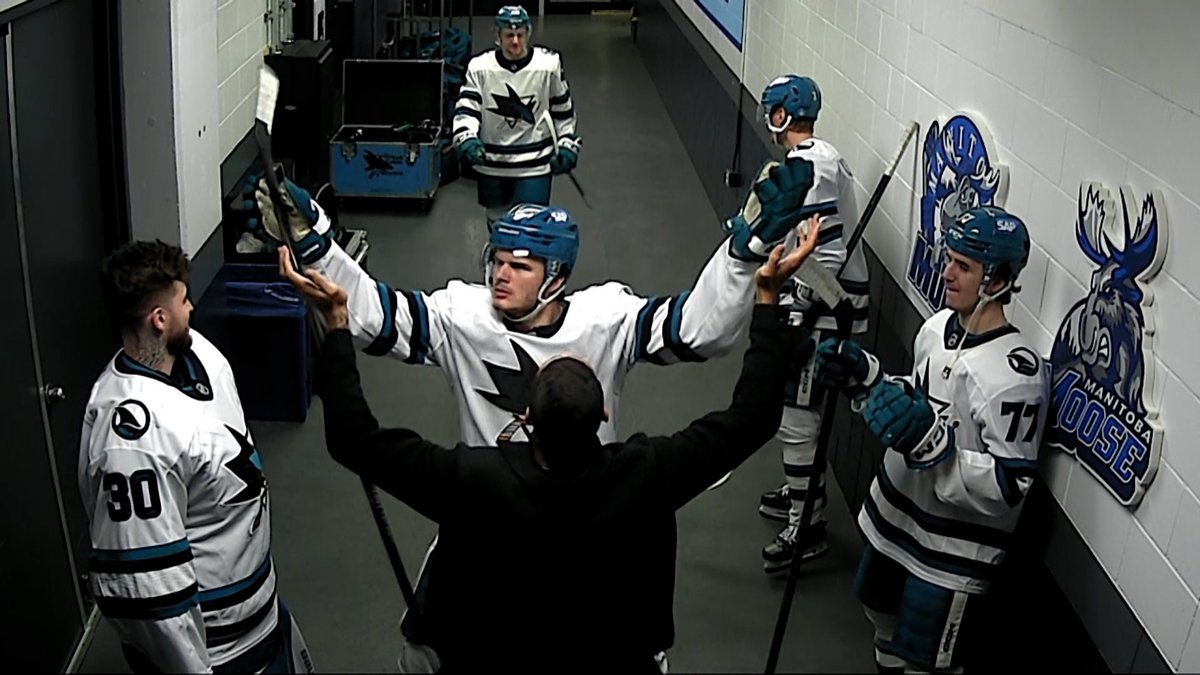 Sharks on NBCS tweet media
