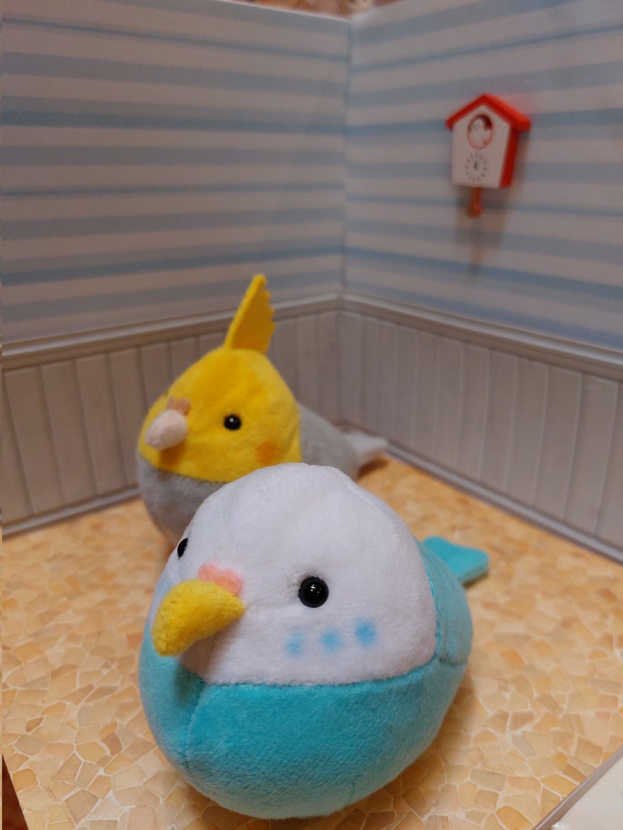0624Pinky's tweet photo. ばんばぱえりあさんの、｢ことりのぬいぐるみ｣の本を見て、セキセイインコとオカメインコ作ってみました🥰

#ばんばぱえりあ
#ことりのぬいぐるみ https://t.co/WvDmoCgNvv