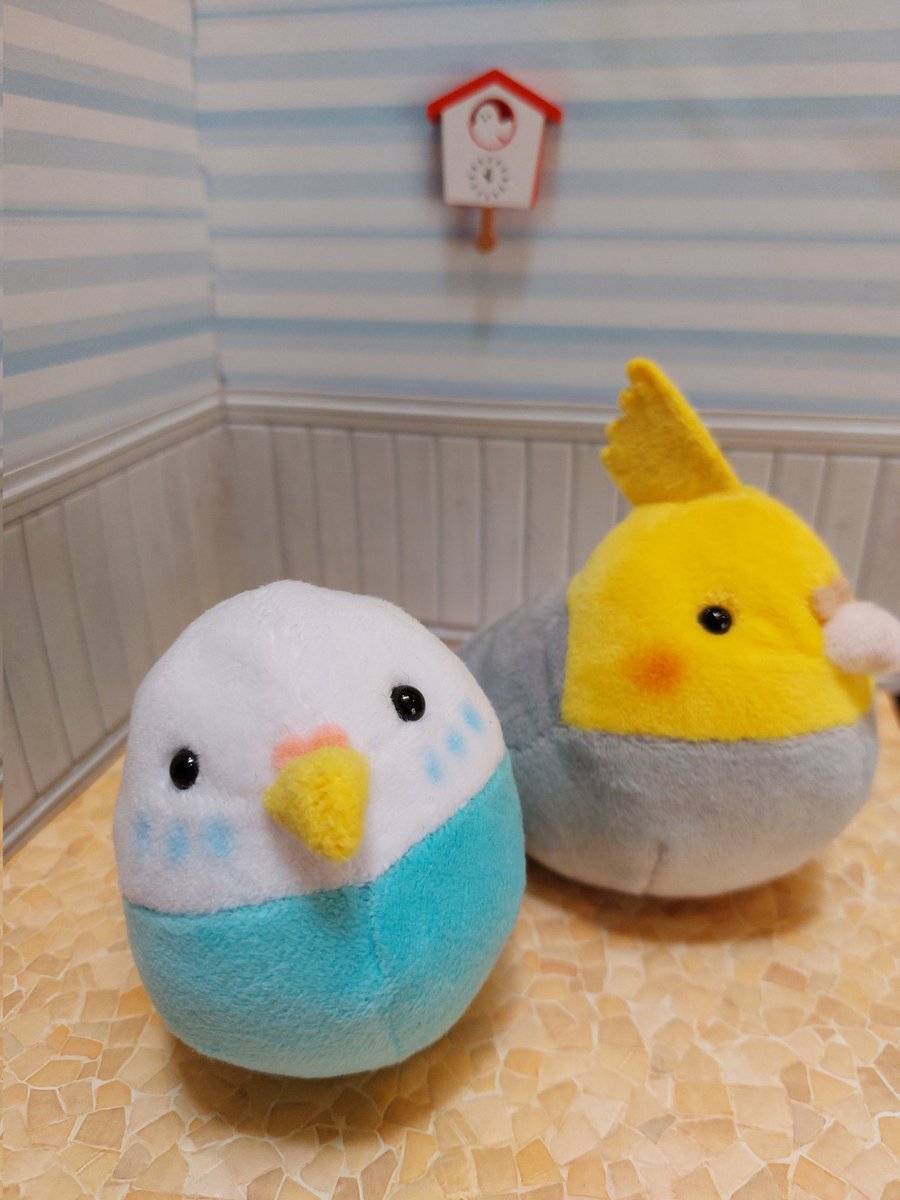 0624Pinky's tweet photo. ばんばぱえりあさんの、｢ことりのぬいぐるみ｣の本を見て、セキセイインコとオカメインコ作ってみました🥰

#ばんばぱえりあ
#ことりのぬいぐるみ https://t.co/WvDmoCgNvv
