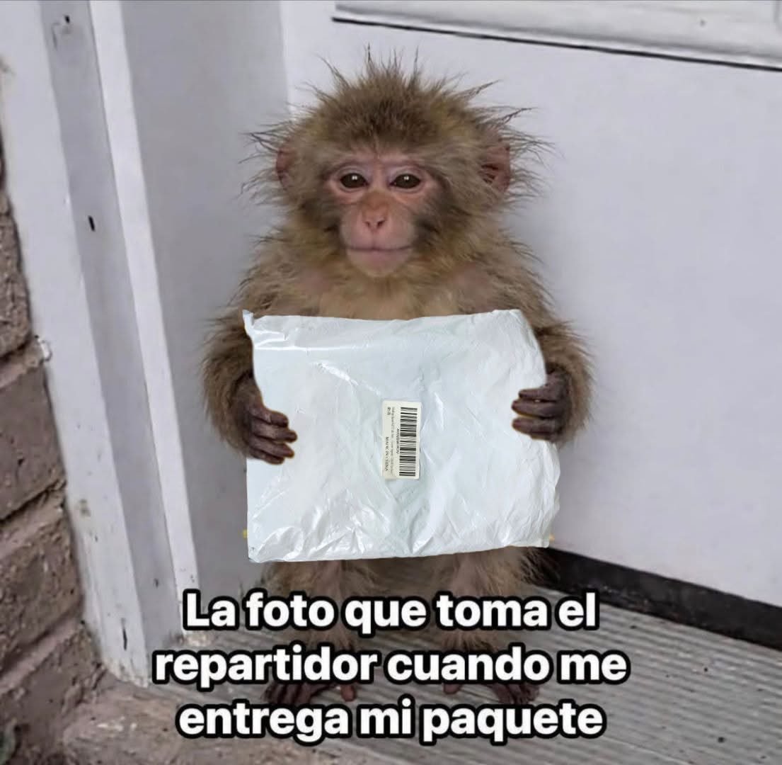FraseSimple's tweet photo. https://t.co/qincwkeVaq