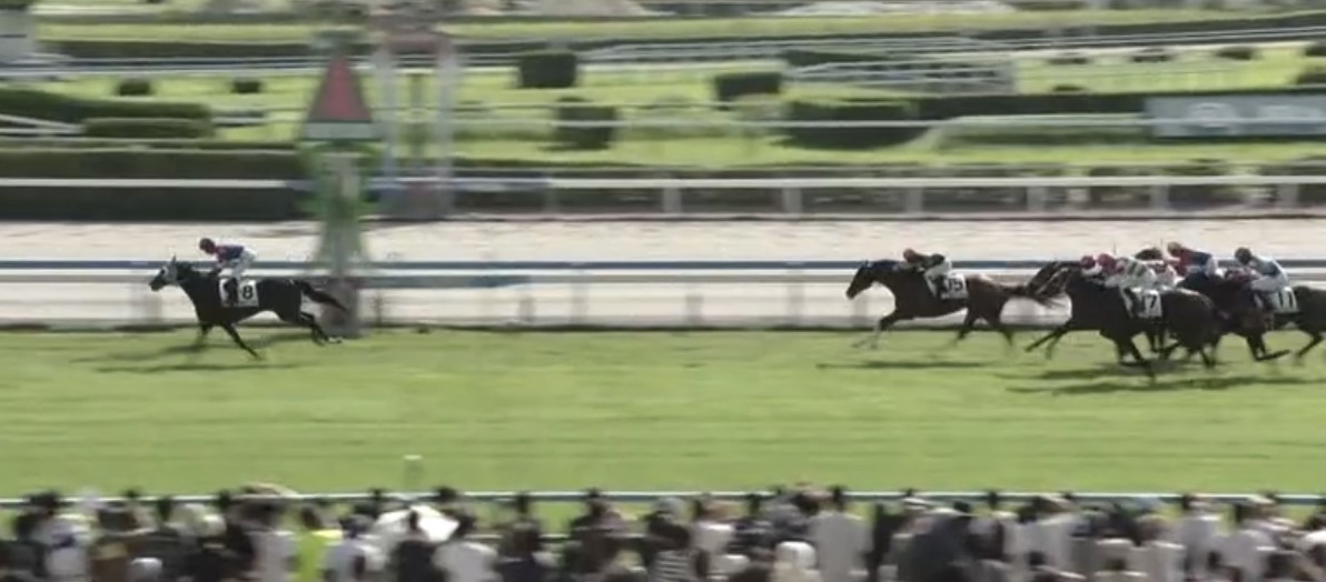 tomitastable's tweet photo. 【2勝目！】

#ノボボリア 号　牝4歳
父 #カリフォルニアクローム
母 #ノボリレジェンド
母父 #ディープインパクト

2026年7月12日 小倉
３歳以上1勝クラス【芝】1200ｍ
馬主：原田豊 様
調教師 #石橋守厩舎
生産者 #富田牧場

騎手 #高杉吏麒
育成 #富田ステーブル https://t.co/CqufCJWrtl