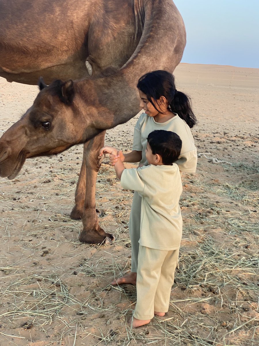 A6000u's tweet photo. أَلا بكرت تلومك أم سلم
وَغير اللوم أدنى للسداد
**
وَمَا بذلي تلادي دون عرضي
بإسراف أميم وَلَا فَسَاد
**
فَلَا وَأَبِيك مَا أعطي صديقي
مكاشرتي وأمنعه تلادي

وَلَكِنِّي امروء عودت نَفسِي
على علاتها جرى الْجواد https://t.co/1UaBkbWgGI