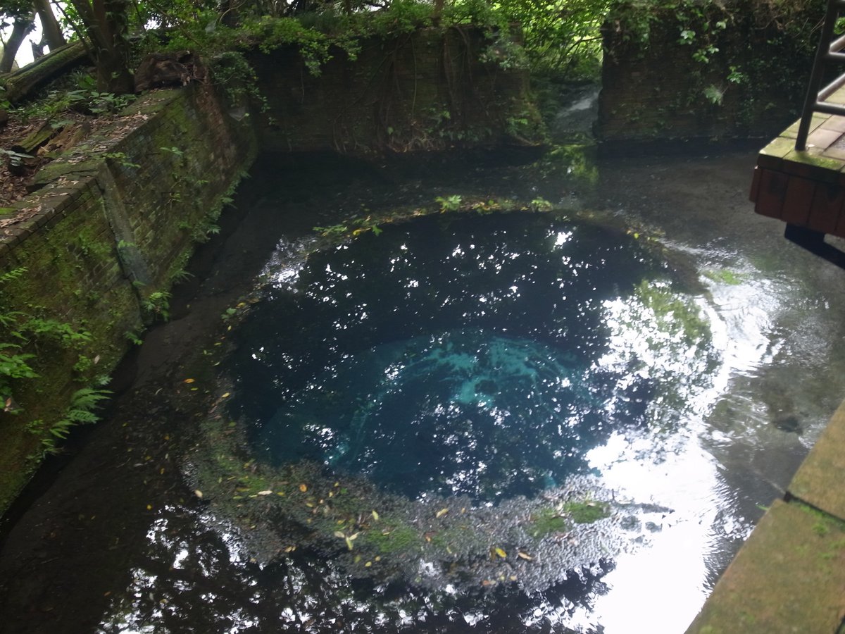 oybreeder1's tweet photo. 13日曇り。三島市を経て伊豆フルーツパークを訪問。途中、清水町の柿田川湧水公園に立ち寄る。富士に積もった白雪が溶けて伏流水となり、最後に湧き出た所。名水100選にも選ばれている。湧水との温度格差のため川はいつも幽玄な霧を抱く。湧水の味はとても柔らかでうまい。喉にスーと落ちていく。 https://t.co/QBjFrzY3z5