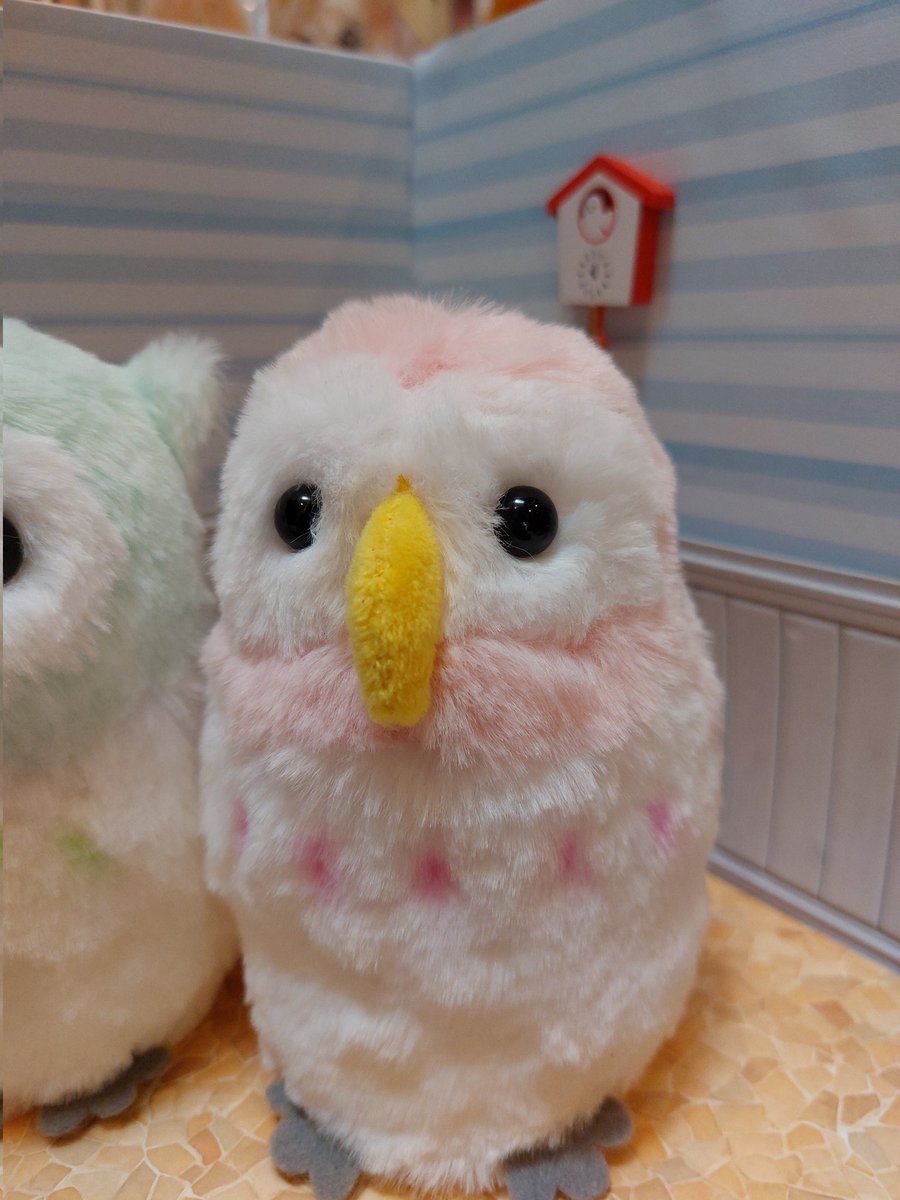 0624Pinky's tweet photo. ばんばぱえりあさんの、｢ことりのぬいぐるみ｣の本を見て、ミミズクとフクロウ作ってみました🥰

げっしるいのぬいぐるみも購入したので、可愛いの作れますように🥰

#ばんばぱえりあ
#ことりのぬいぐるみ https://t.co/nuMZeKRcpY