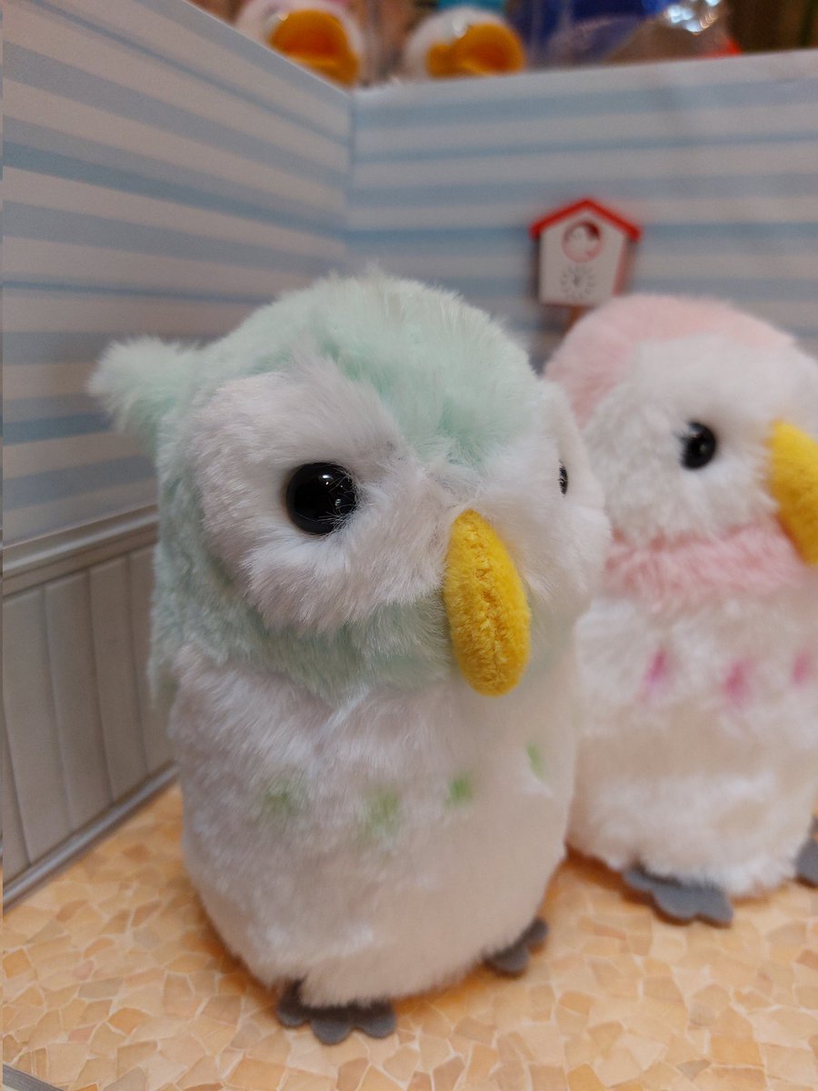 0624Pinky's tweet photo. ばんばぱえりあさんの、｢ことりのぬいぐるみ｣の本を見て、ミミズクとフクロウ作ってみました🥰

げっしるいのぬいぐるみも購入したので、可愛いの作れますように🥰

#ばんばぱえりあ
#ことりのぬいぐるみ https://t.co/nuMZeKRcpY