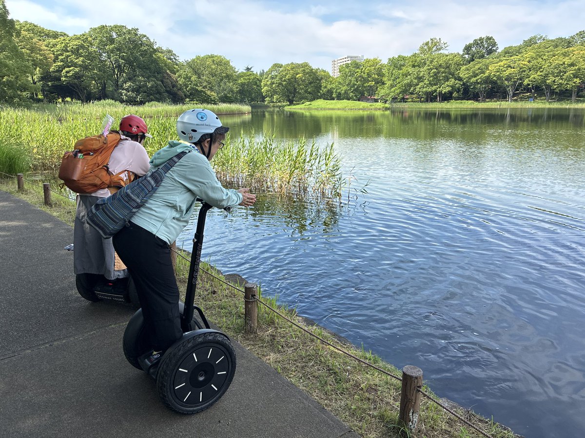 おはようございます? 今日は横浜ツアーのサポートのため昭和記念公園 