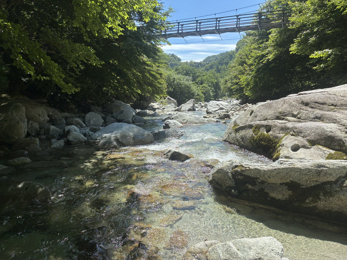 trailrunner111's tweet photo. 夏始めました https://t.co/ropXjMGrzx