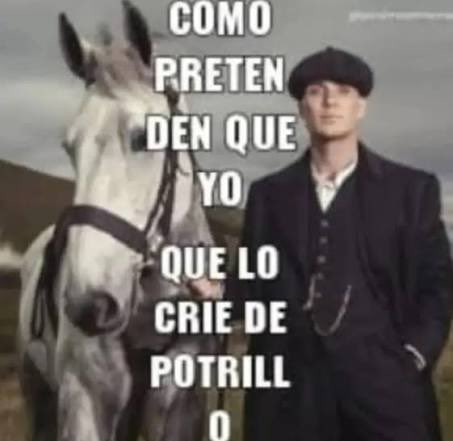 mitadperdido's tweet photo. @dolcecanelita alexa play el corralero https://t.co/IVzjbyVkuj