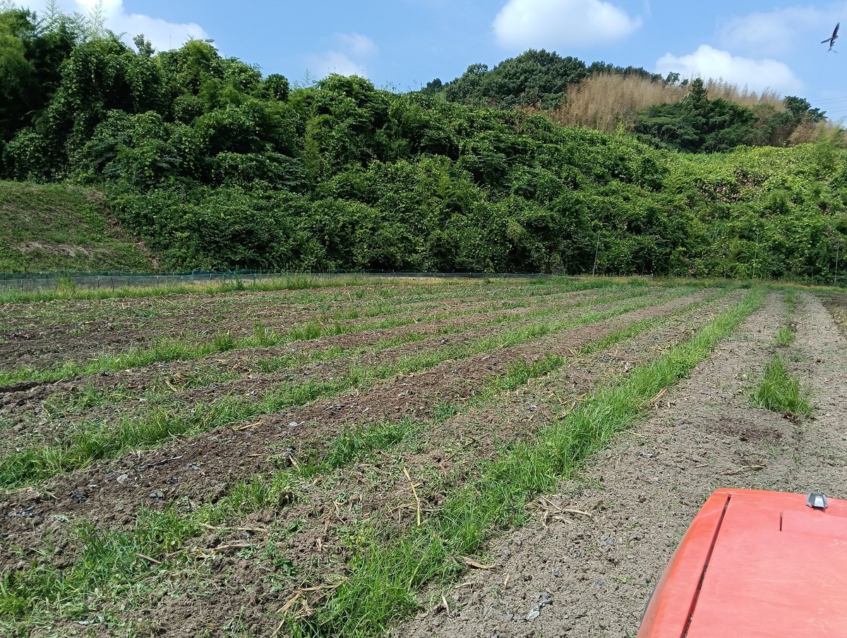 okimontagames's tweet photo. ただトラクターに乗ってるだけなのに汗が吹き出る
本日2回目のシャワー&amp;お着替え
昼ご飯食べたらまたトラクター乗ってその後は子供らのお迎えなので3回目のシャワーになるだろう👀🚿 https://t.co/x1xqAFOJZq