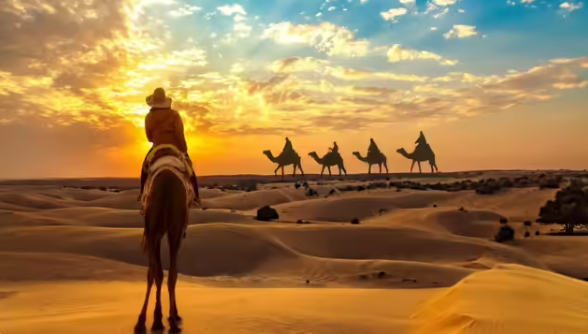 Global TravelReps tweet media